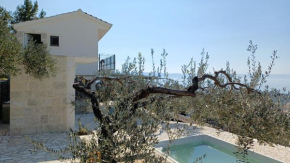 Olive Stone House
